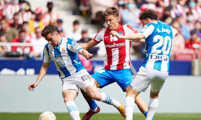 也再次证明 也再次证明